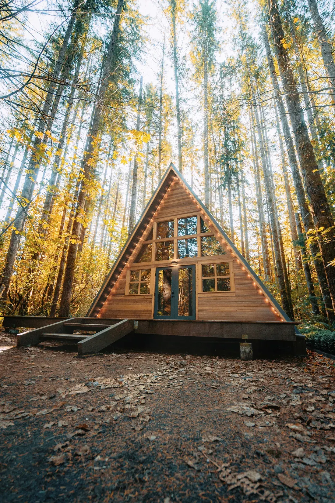 A warm timber cabin tucked into the trees